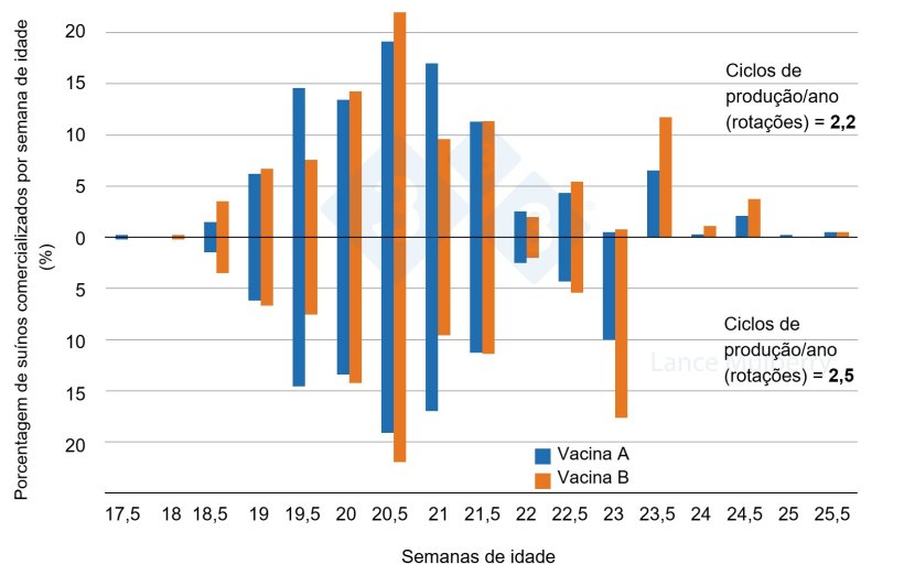 Figura 3: Duas granjas, mas uma com menor variação nas taxas de crescimento, o que representa menos suínos de crescimento lento devido a diferenças no programa de vacinação. Menos suínos de crescimento lento significa que os galpões sejam esvaziados mais cedo, sem incorrer em tantas penalizações.